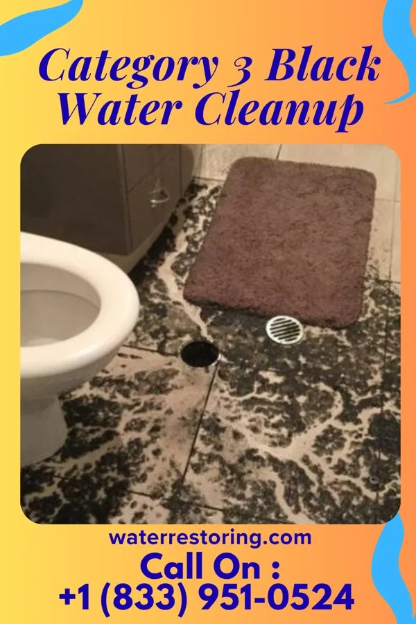 Category 3 Black Water Cleanup in Barnesville, MN