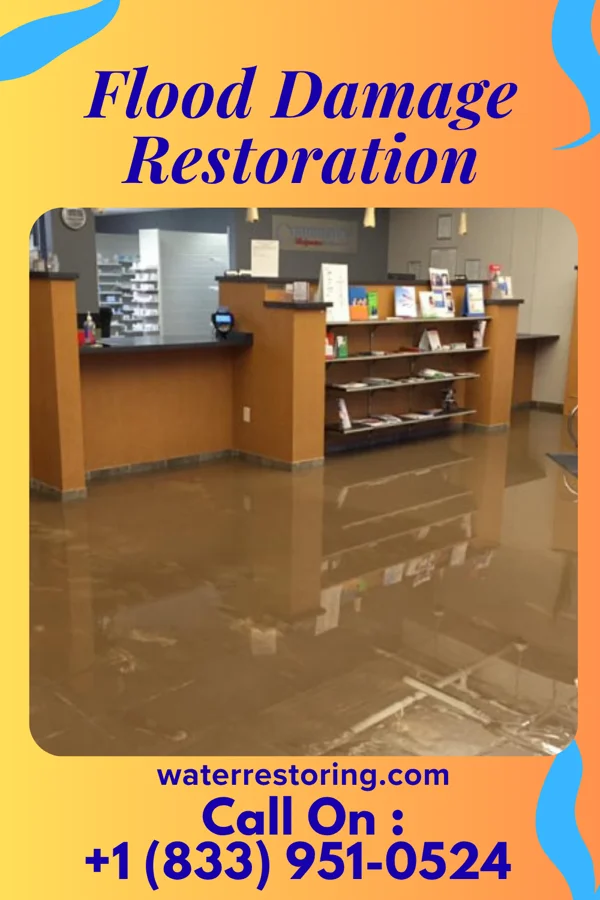 Flood Damage Restoration in Barnesville, MN