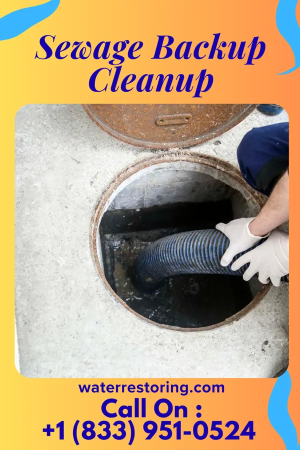 Sewage Backup Cleanup in Barnesville, MN