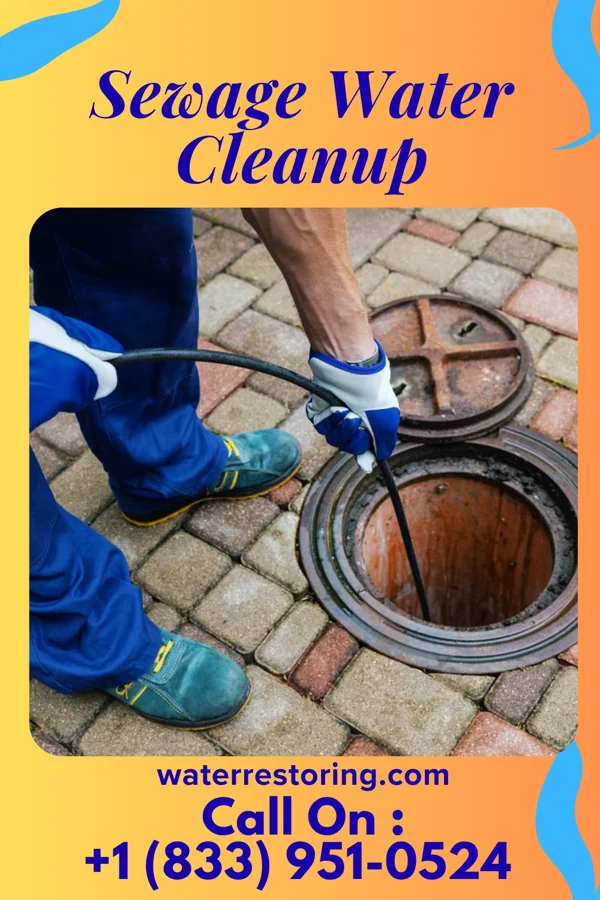 Sewage Water Cleanup in Barnesville, MN