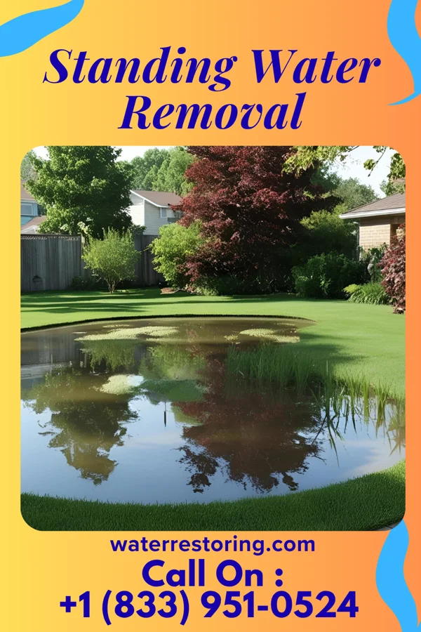 Standing Water Removal in Barnesville, MN